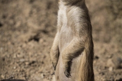 11064759_767675136663183_6030007661433230314_o